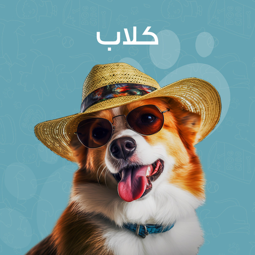 كلاب